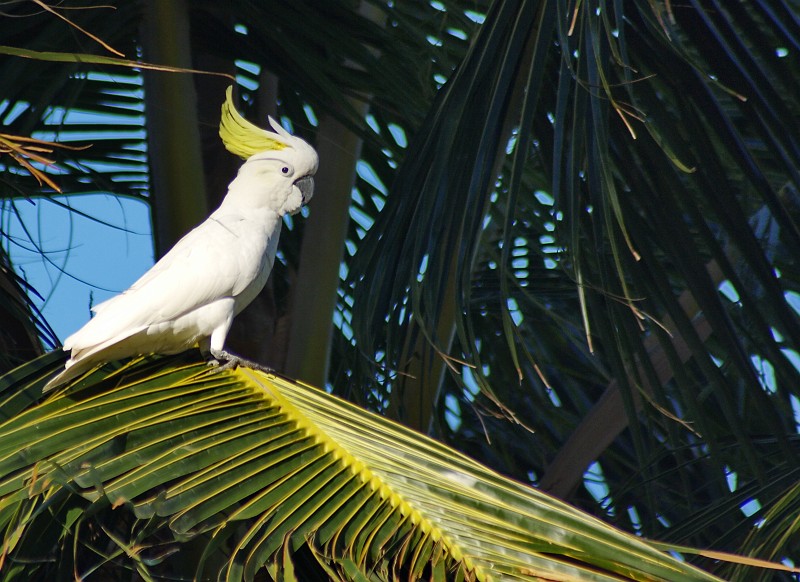 2009-11-06 22-02-59_1.jpg - H-A-L-L-O   I-C-H    B-I-N    E-I-N    K-A-K-A-D-U